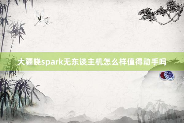 大疆晓spark无东谈主机怎么样值得动手吗