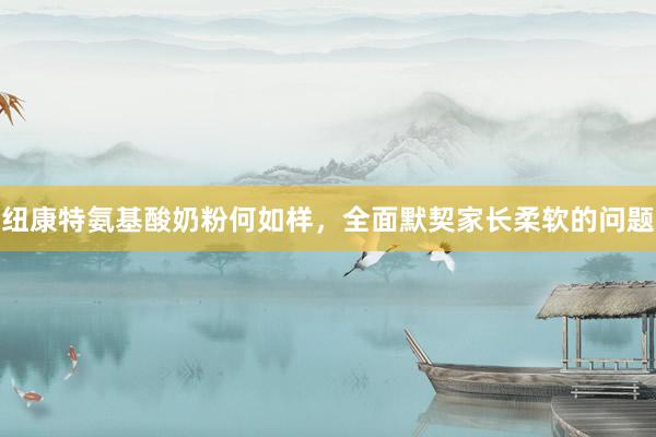 纽康特氨基酸奶粉何如样，全面默契家长柔软的问题